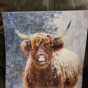 Farmhouse Cow Picture highlander pictures